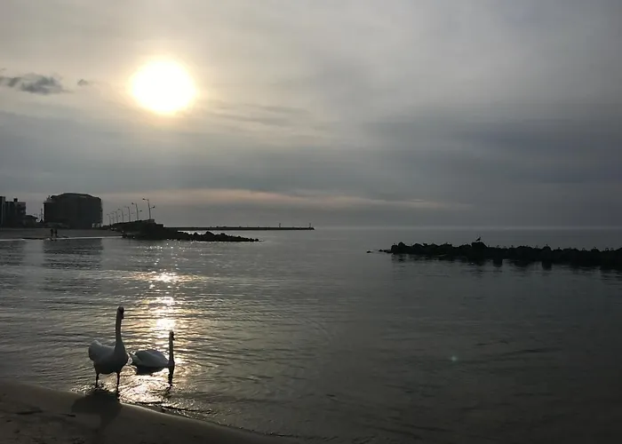 Apartamento Morski 44 *